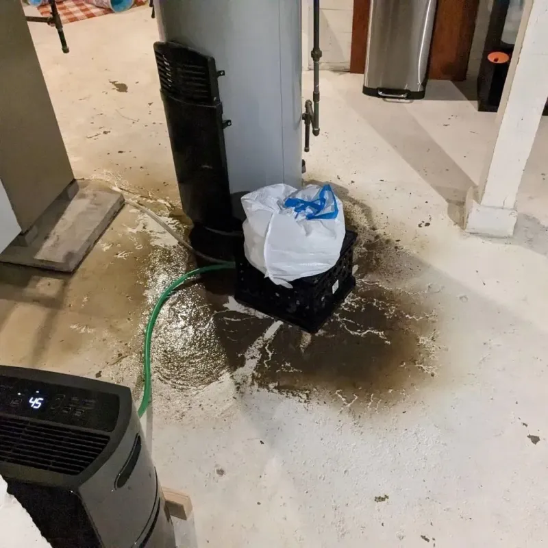 Sewage Backup Cleanup Service in Lake View, AL